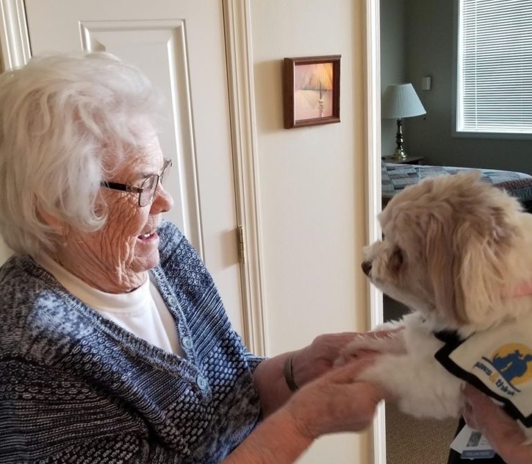 Therapy Dog Programs Photo