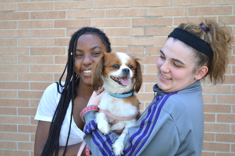 Pups and Warriors Program Photo