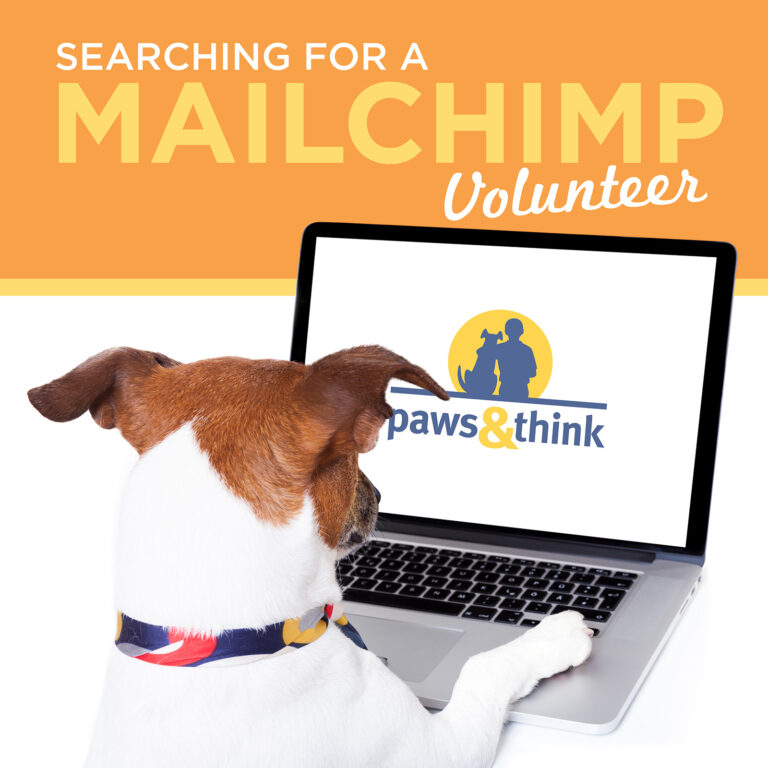 Photo of a dog looking at a computer and the words "Searching for a MailChimp Volunteer"