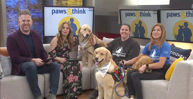 Screen capture from Indy Now, March 30th: Meet the doggos of Paws & Think!