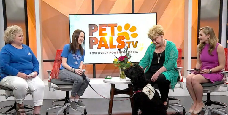 Screen capture from ‘Pet Pals TV’: Taking time to ‘Paws & Think’